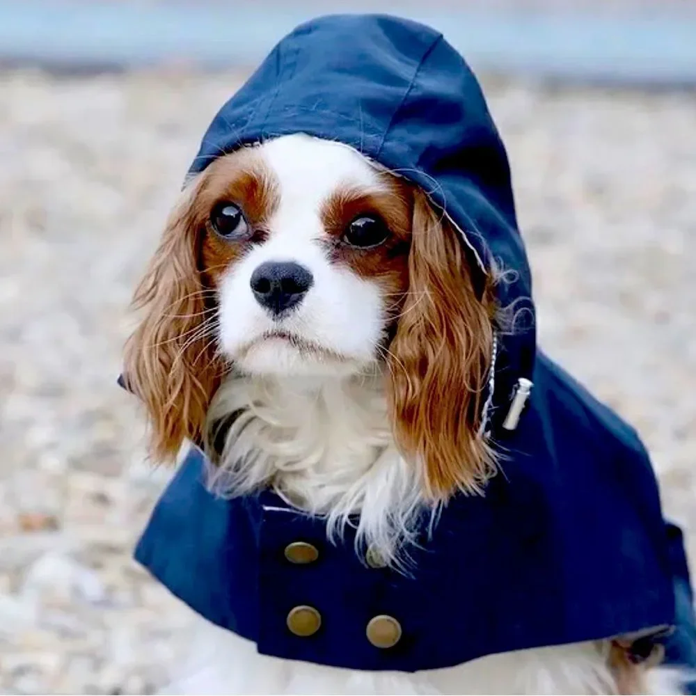 ‎NWT Barkholic Waterproof Rain Jacket